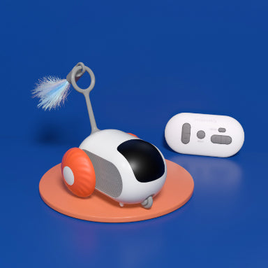 Remote Control Interactive Pet Car Toy