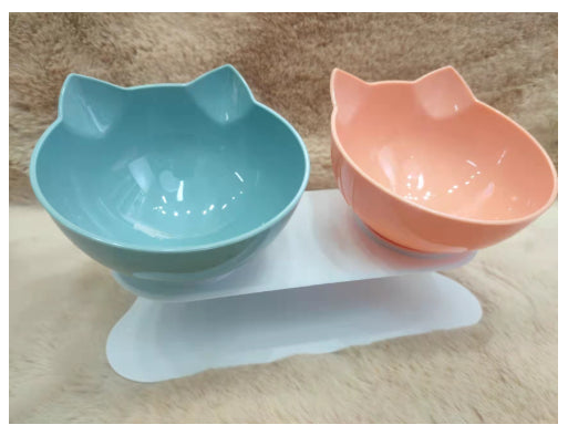 New Inclined Oblique Mouth Transparent Single Pet Bowl