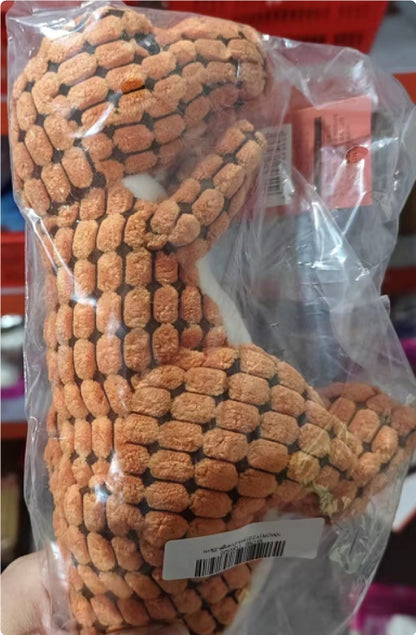 Dinosaur Pet Plush Toys