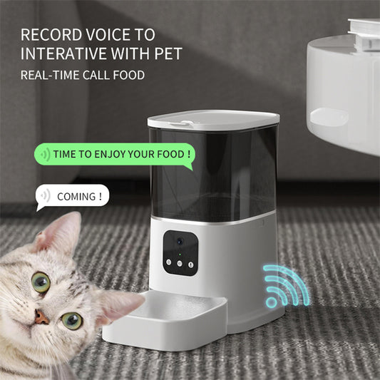 Pet Large Capacity Smart Automatic Feeder