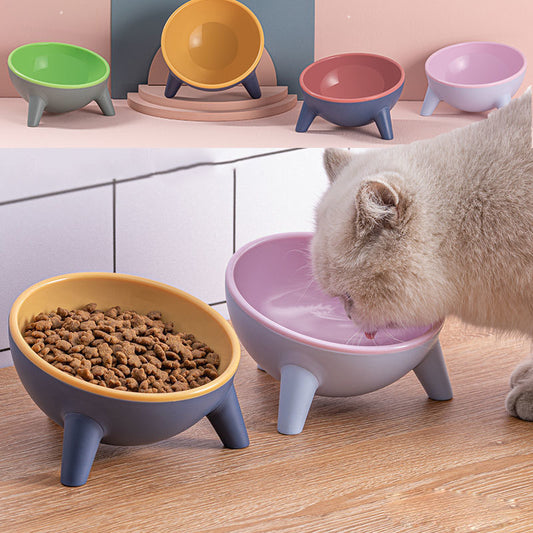Pet Food Bowl With Stand