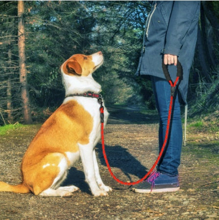 Reflective Pet Leash Nylon Leash Rope