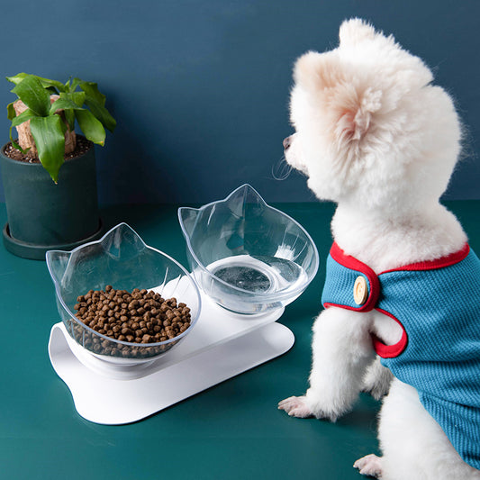 New Inclined Oblique Mouth Transparent Single Pet Bowl